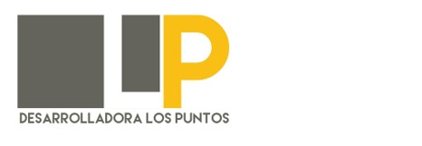 DESARROLLADORA LOS PUNTOS